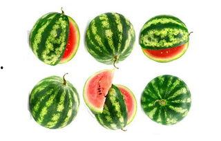 向导景慧吃瓜,揭秘娱乐圈幕后故事