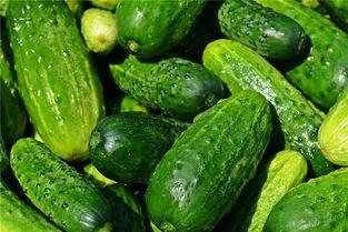 梦见吃黄瓜乳瓜,黄瓜乳瓜的神秘启示