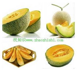 吃哈密瓜患胃炎,却需警惕胃炎风险