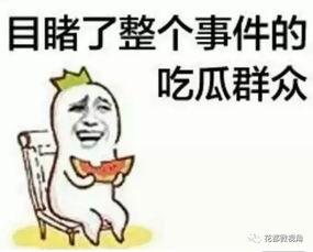 吃瓜群众小涵涵,揭秘娱乐圈那些事儿