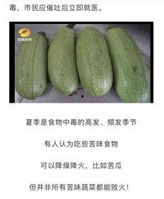 吃瓜网-免费吃瓜