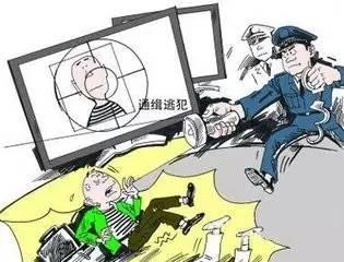 廊坊吃瓜案件,一场网络舆论的风波与反思