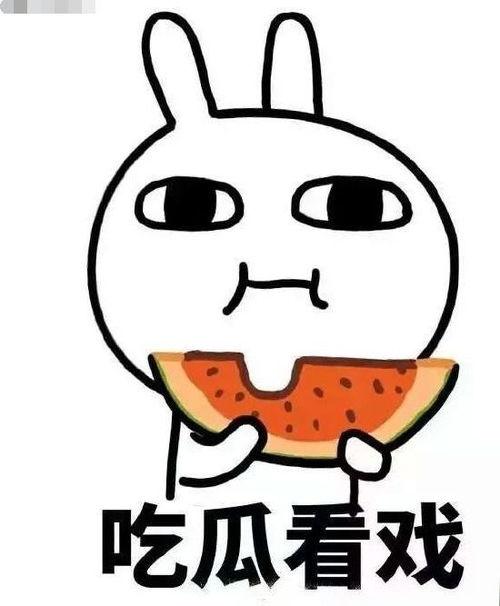 吃瓜出笼,吃瓜群众视角下的娱乐圈风云录