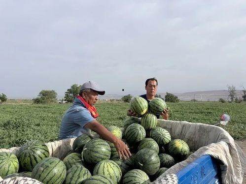 吃瓜容城,揭秘这座城市的美食传奇与人间烟火