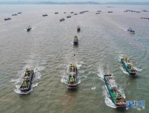 福建浙江渔船吃瓜