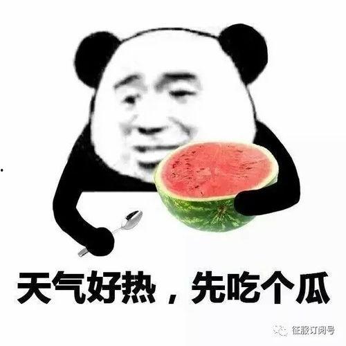 王者营地吃瓜表情,吃瓜表情背后的风云变幻