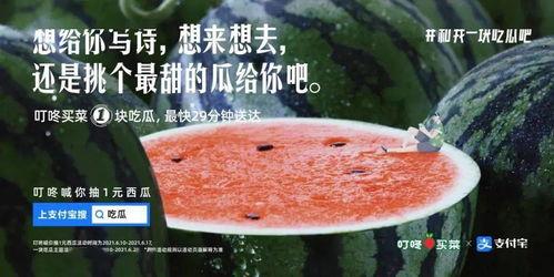 关于明星吃瓜的文案,明星们的甜蜜与苦涩